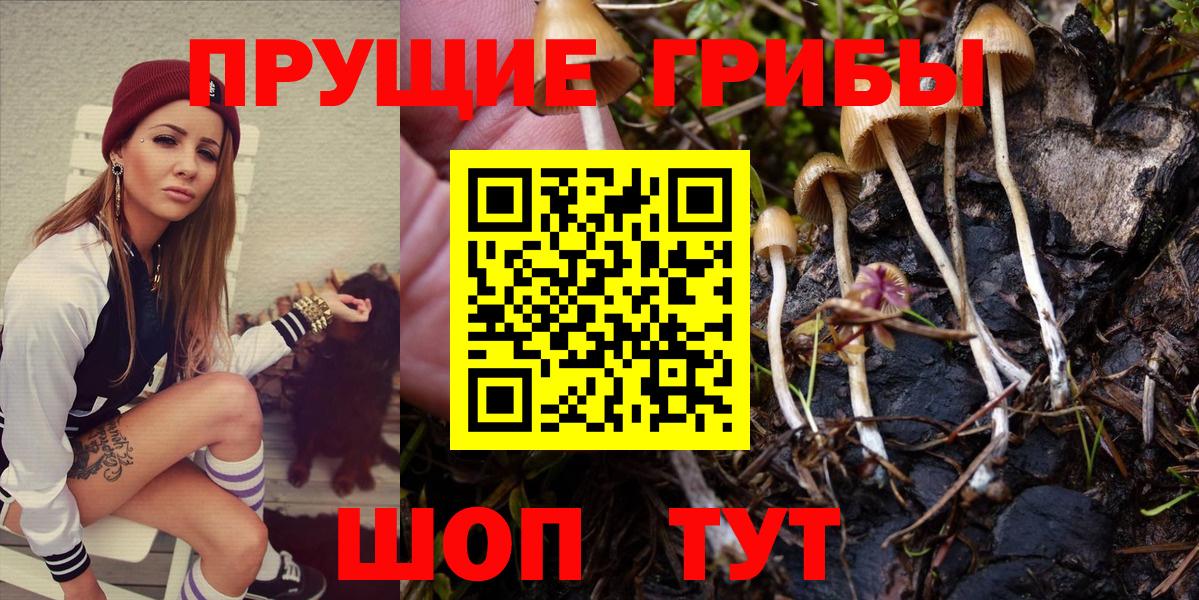 Псилоцибиновые грибы Cubensis  Псилоцибиновые грибы Magic Shrooms  Южно-Сахалинск  Вход с VPN 